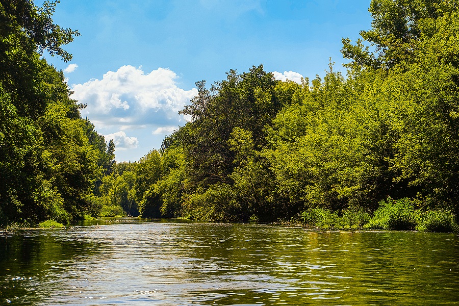 The River Within